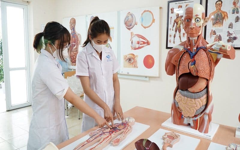 Vai trò của bác sĩ y học cổ truyền hiện nay