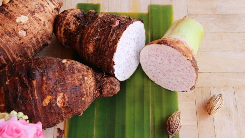 bầu ăn khoai môn được không