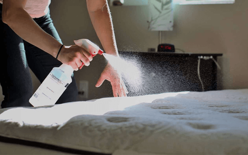 Giữ vệ sinh sạch sẽ để giảm nguy cơ dị ứng vải và ghẻ