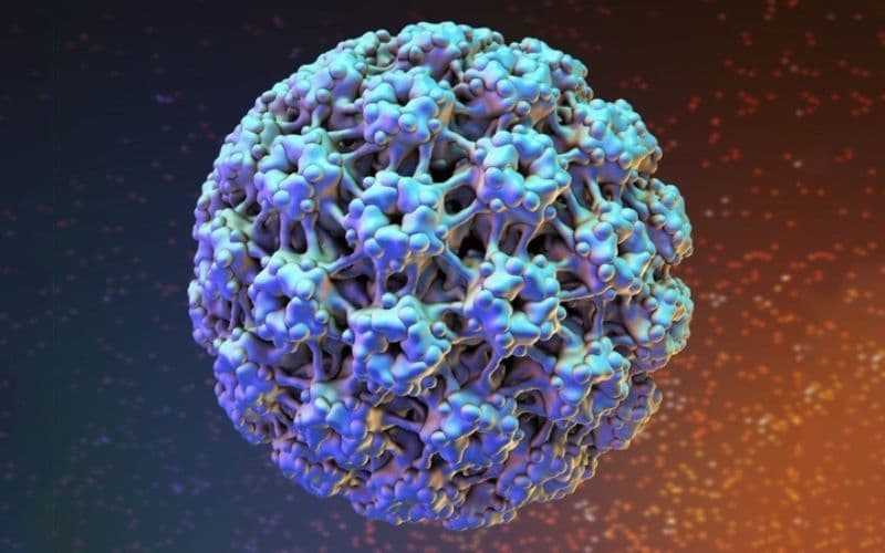 HPV có nguy hiểm không
