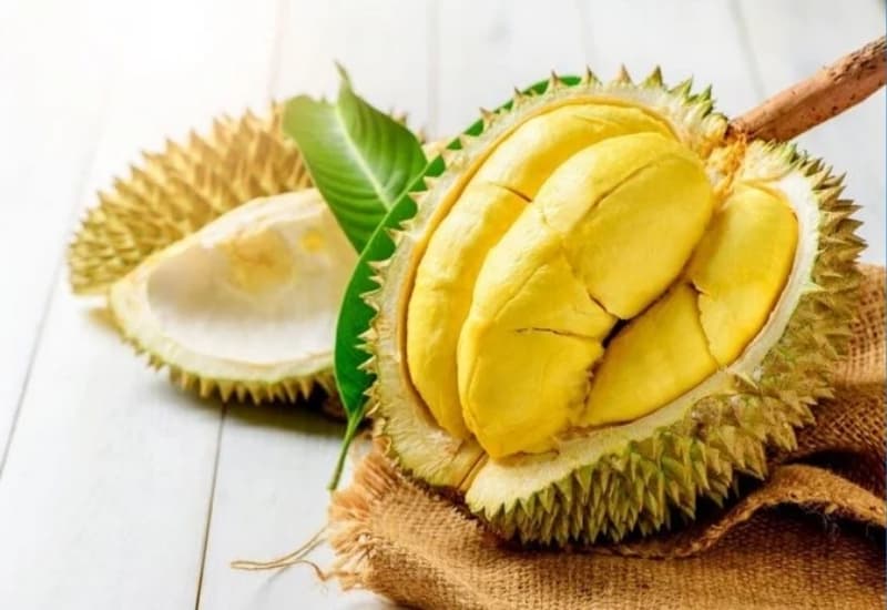 Sầu riêng có thể ăn với lượng phù hợp khi bị trĩ