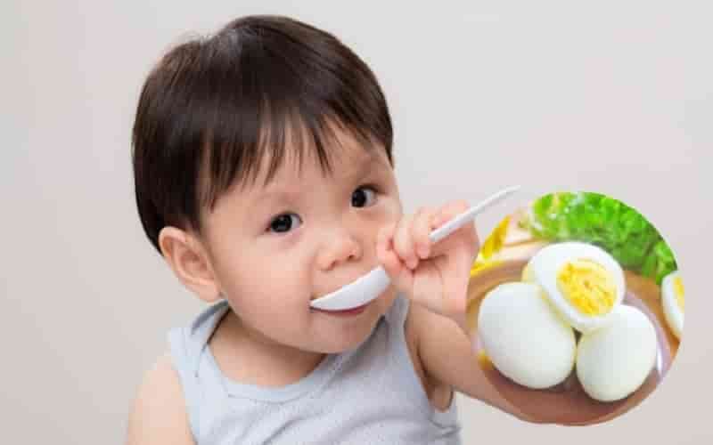 Trẻ ốm vẫn có thể ăn trứng gà nếu không dị ứng và tiêu hóa tốt