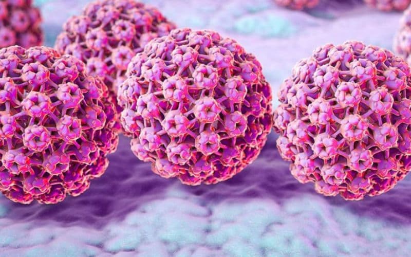 Virus HPV có ở đâu