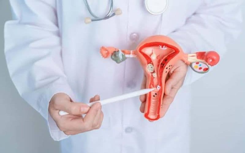 Nếu xuất hiện đau bụng dưới sau xoắn polyp cổ tử cung tăng dần, người bệnh nên đi khám thay vị tiếp tục tự theo dõi tại nhà.