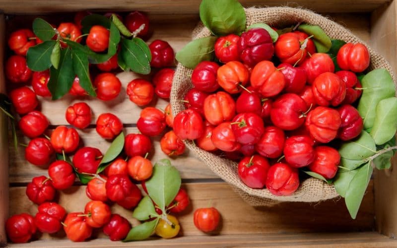 Bầu ăn sơ ri được không