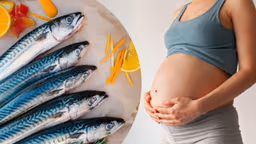 Các loại cá bà bầu không nên ăn để đảm bảo an toàn cho thai nhi