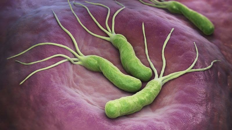 Tỷ lệ nhiễm Helicobacter pylori thường ghi nhận ở những khu vực đang phát triển