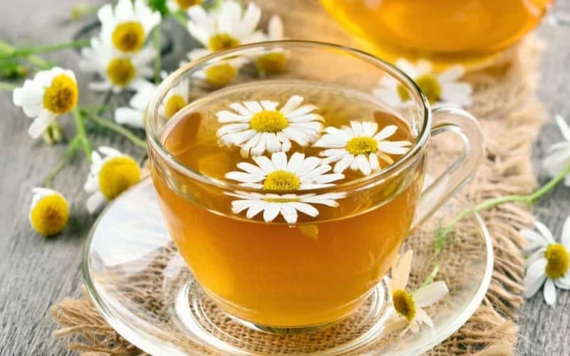 Bà bầu mất ngủ uống trà hoa cúc giúp dễ ngủ