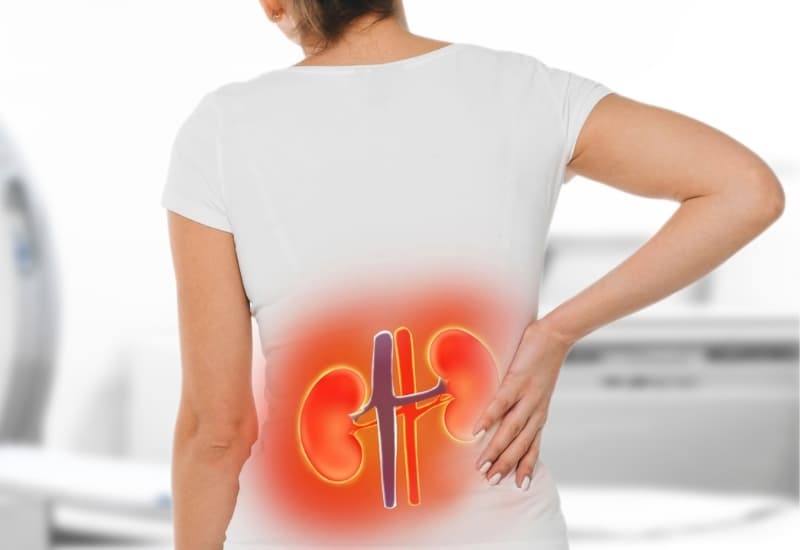 Triệu chứng sỏi bàng quang có thể gồm tiểu buốt, tiểu khó, tiểu nhiều lần hoặc dòng tiểu bị gián đoạn