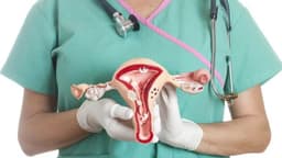 U xơ tử cung: Dấu hiệu, biến chứng và cách điều trị
