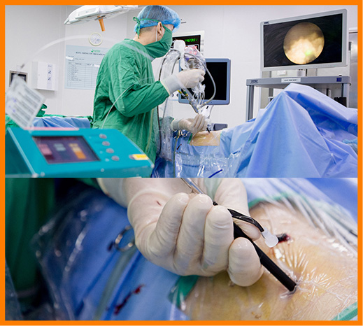 Tọa lạc đắc địa