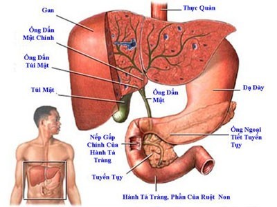 viem-gan-sieu-vi-a