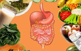 Chế độ ăn hợp lý, cân bằng giúp phòng tránh bệnh hiệu quả