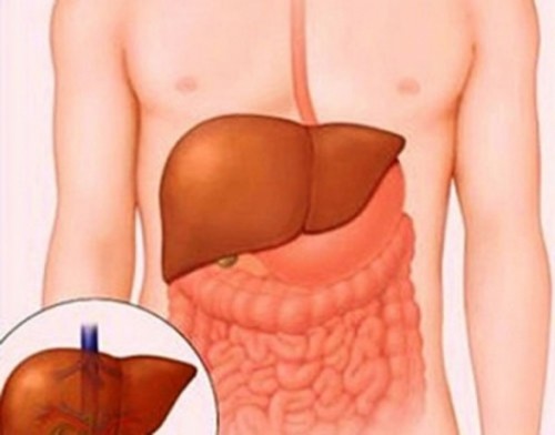 Ở Hà Nội nên chữa bệnh viêm gan ở đâu2