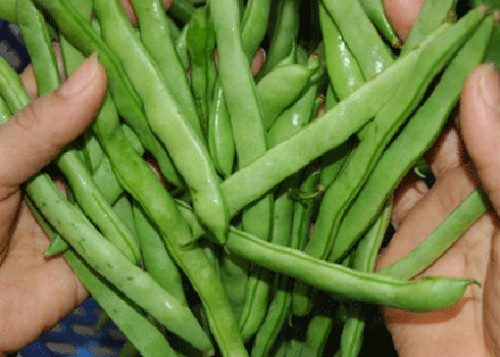 Bạn cũng nên ăn nhiều đậu, đỗ...để cung cấp chất xơ và các loại vitamin tốt cho sức khỏe