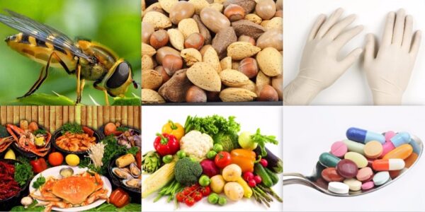 tình trạng sốc phản vệ