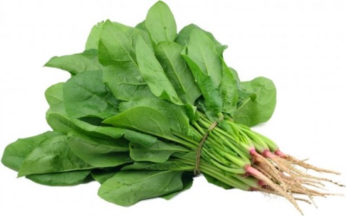 Là một loại rau giàu canxi và vitamin C, vitamin K, photpho, kali, kẽm giúp tăng cường cơ bắp, giảm các vết rạn xương hữu hiệu, ngoài ra còn có selen giúp bảo vệ gan. Không những thế, carotenoid neoxanthin trong rau chân vịt có thể tiêu diệt các tế bào ung thư tiền liệt tuyến và beta carotin loại trừ tế bào ung thư ruột kết.