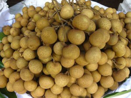 Nhãn là một loại quả có tình nóng, nếu mẹ bầu ăn nhiều nhãn trong thời kỳ mang thai sẽ dễ dẫn đến chứng táo bón, mẩm ngứa dị ứng, khiến da dễ bị sạm, nám, gây xáo trộn quá trình phát triển bình thường của thai nhi và không tốt cho sức khỏe mẹ bầu.