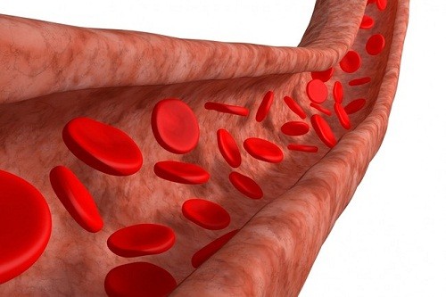 Tiểu máu là hiện tượng trong nước tiểu có nhiều hồng cầu.
