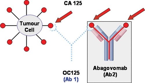Xét nghiệm CA 125 là gì? CA 125 thường được sử dụng nhằm phát hiện sớm ung thư buồng trứng ở những người có nguy cơ cao, tiền sử gia đình mắc bệnh…