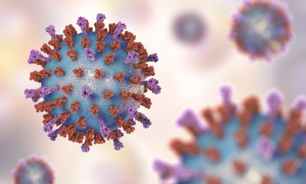 Virus hợp bào hô hấp RSV gây ra khoảng 30 – 50% số ca viêm tiểu phế quản