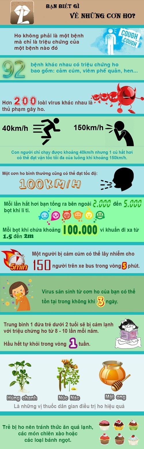 ban-biet-gi-ve-nhung-con-ho1