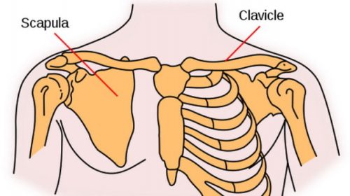 Gãy xương đòn là trường hợp nguy hiểm cần được cấp cứu kịp thời