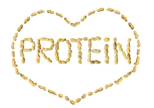 protein nguồn gốc thực vật tin tức hình ảnh video bình luận