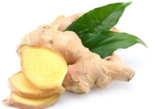 Gứng rát tốt cho người bị rối loạn tiêu hóa