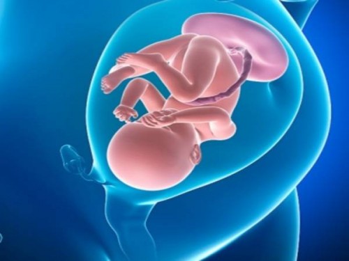 Hiện tượng này có thể ảnh hưởng tới sự cung cấp nguồn dinh dưỡng từ mẹ tới thai nhi khiến thai chậm phát triển