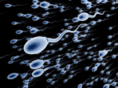 Viêm nhiễm phụ khoa khiến tinh trùng khó di chuyển để gặp trứng