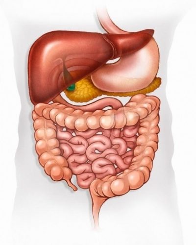 Thời tiết nóng bức, độ ẩm cao dễ khiến vi khuẩn sinh sôi, sinh ra nhiều căn bệnh đáng ngại, trong đó có bệnh đường ruột mùa hè. 