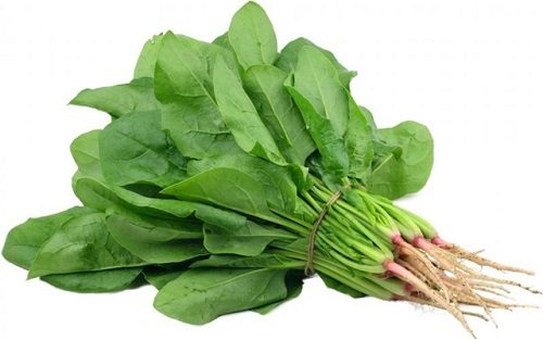 Rau chân vịt có tác dụng làm giảm nhanh các triệu chứng của bệnh táo bón.