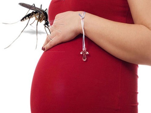 Sốt xuất huyết ở bà bầu có thể gây biến chứng nguy hiểm