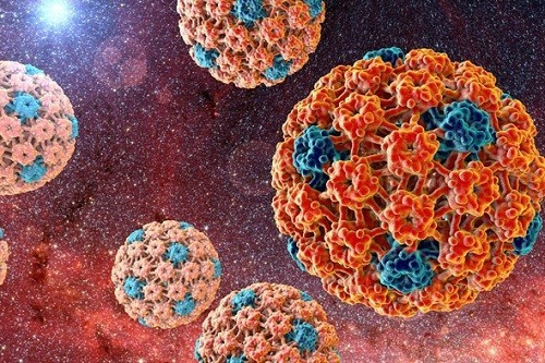 Virus HPV làm tăng nguy cơ mắc ung thư hậu môn.