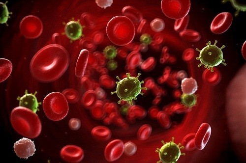 Hình ảnh ung thư máu biến chứng nguy hiểm