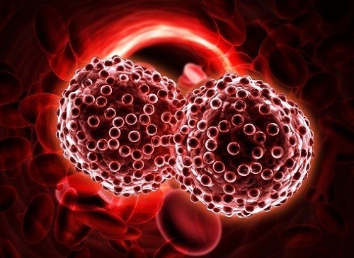 Những hình ảnh trong công tác tiếp nhận máu mùa Covid-19! - Bệnh viện Huyết  học - Truyền máu Cần Thơ