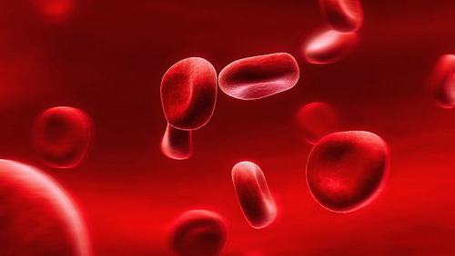 Tiểu cầu là thành phần của máu giúp tạo thành cục máu đông giúp làm ngưng chảy máu