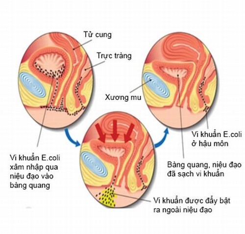 7. Khi nào cần gặp bác sĩ?