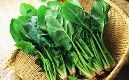 Cải bó xôi là thực phẩm tố cho dạ dày