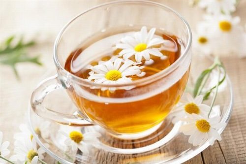 Trà hoa cúc rất tốt cho người đau dạ dày