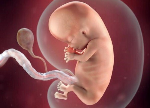Mẹ bầu cũng có những thay đổi theo sự phát triển của thai nhi 8 tuần tuổi