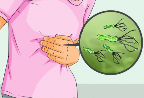 Vi khuẩn Helicobacter Pylori (HP) là loại vi khuẩn sống trên lớp nhày niêm mạc dạ dày và ruột non.