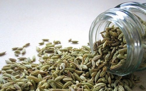 Hạt thị là cũng là một bài thuốc nam hiệu quả trong việc cải thiện tình trạng trào ngược dạ dày thực quản