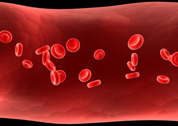 Thiếu máu là tình trạng cơ thể không đủ tế bào hồng cầu khỏe mạnh để đưa oxy đến các mô