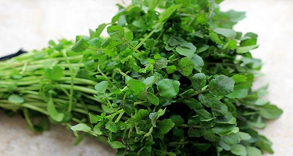 Cải xoong cung cấp nhiều dưỡng chất cần thiết với hàm lượng cao, không những thês còn có tính kháng khuẩn, ức chế được nhiều vi trùng gây mụn nhọt.