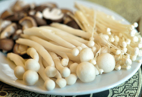 Các loại nấm như nấm đông cô, nấm hương,  mộc nhĩ, nấm kim châm... là những thực phẩm chống ung thư dạ dày hiệu quả