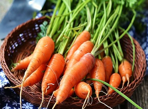 Chất beta – caroten có trong cà rốt giúp giảm nguy cơ mắc các bệnh ung thư như như: ung thư dạ dày, ung thư vòm họng, ung thư vú và ung thư tuyến tiền liệt.