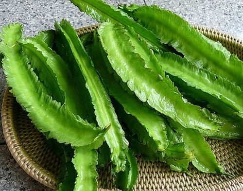 Đậu rồng là một loại thực phẩm chứa nhiều dưỡng chất tốt cho cơ thể