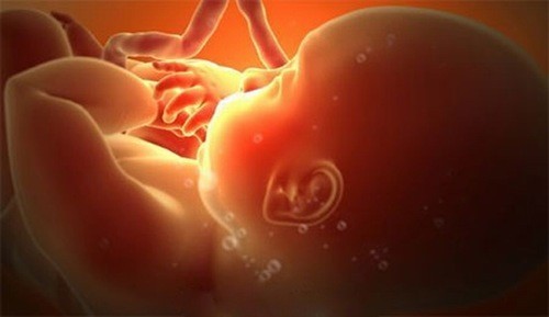 Vào tuần thứ 21 thai kỳ, bé đã ra dáng là một hình hài sơ sinh.